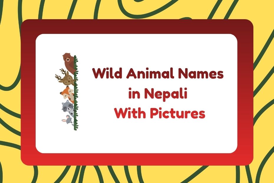 Wild Animal Names in Nepali
