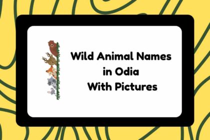 Wild Animal Names in Odia