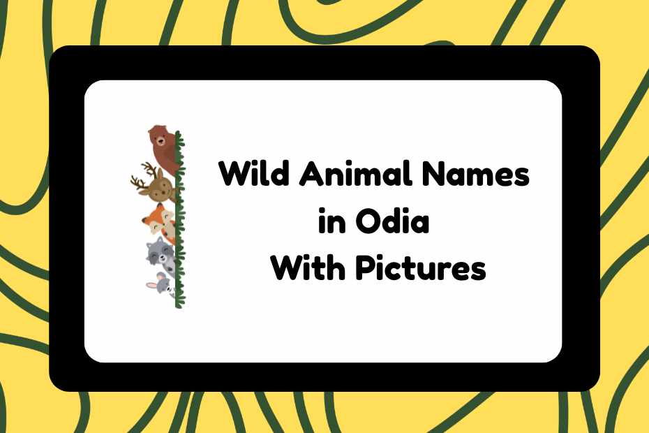 Wild Animal Names in Odia