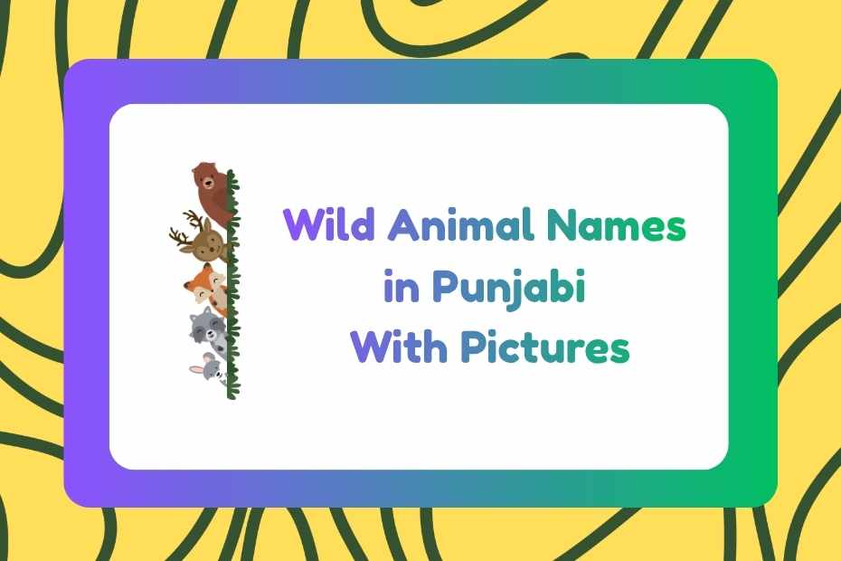 Wild Animal Names in Punjabi
