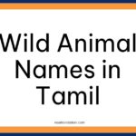 Wild Animal Names in Tamil