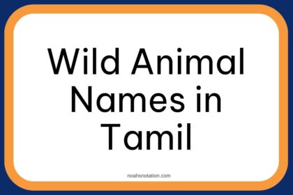 Wild Animal Names in Tamil