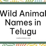 Wild Animal Names in Telugu