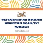 Wild Animals Names in Marathi With Pictures