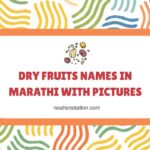 Dry Fruits Names in Marathi With Pictures