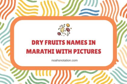 Dry Fruits Names in Marathi With Pictures