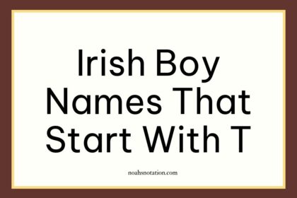 Irish boy names that start with T