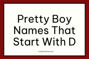 pretty boy names that start with D