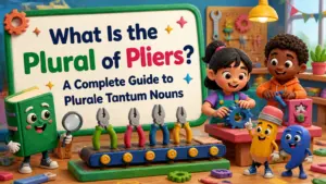 whats the plural of pliers
