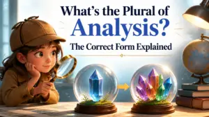 whats the plural of analysis 2