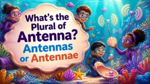 whats the plural of antenna 2