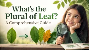 whats the plural of leaf