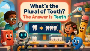 whats the plural of tooth 2
