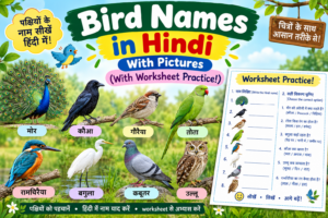 Bird names in Hindi