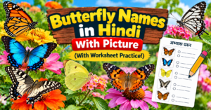 Butterfly Names in Hindi