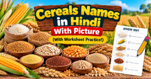 Cereals Names in Hindi With Picture (With Worksheet Practice!)