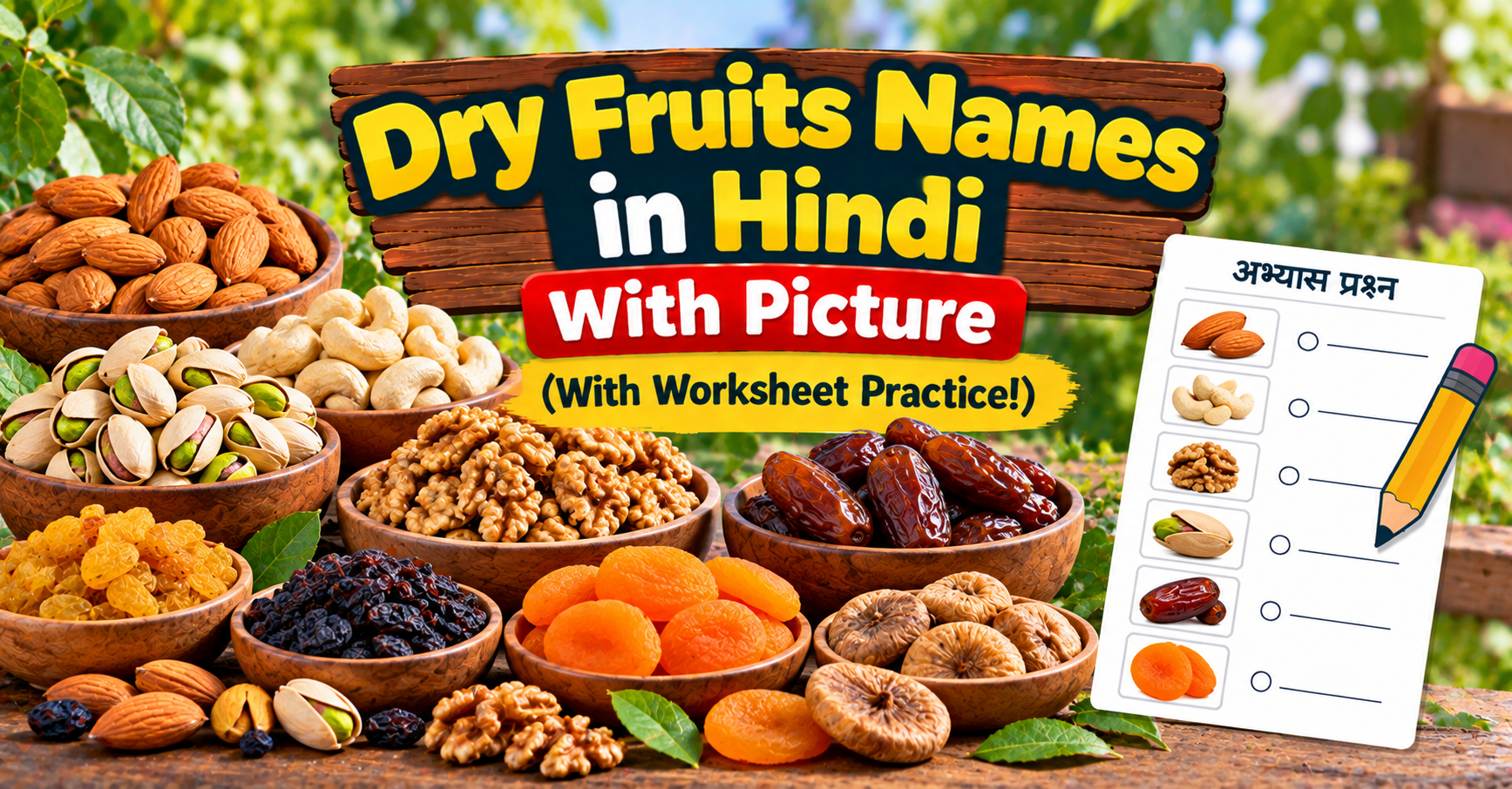 Dry Fruits Names in Hindi With Picture (With Worksheet Practice!)