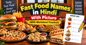 Fast Food Names in Hindi With Picture (With Worksheet Practice!)