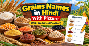 Grains Names in Hindi With Picture