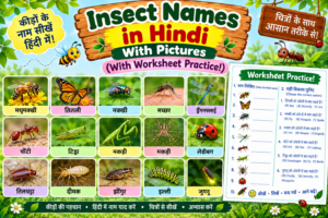 Insect names in Hindi