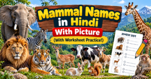 Mammal Names in Hindi With Picture (With Worksheet Practice!)