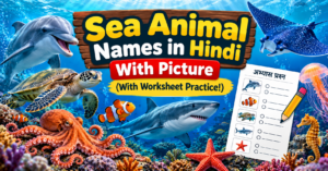 Sea Animal Names in Hindi