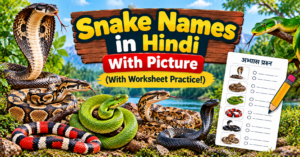 Snake Names in Hindi
