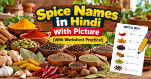 Spice Names in Hindi