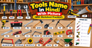Tools Name in Hindi With Picture (With Worksheet Practice!)