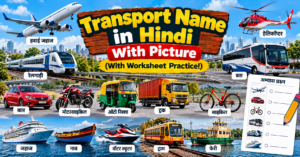 Transport Name in Hindi
