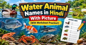 Water Animal Names in Hindi