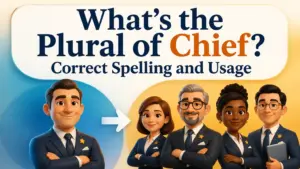 whats the plural of chief 2