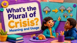 whats the plural of crisis 2