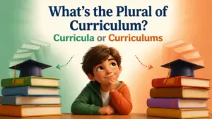 whats the plural of curriculum 2