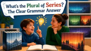 whats the plural of series 2