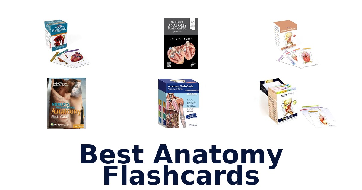 Best Anatomy Flashcards