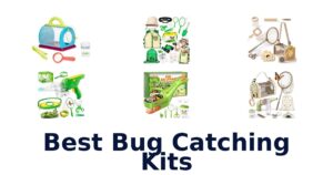 Best Bug Catching Kits