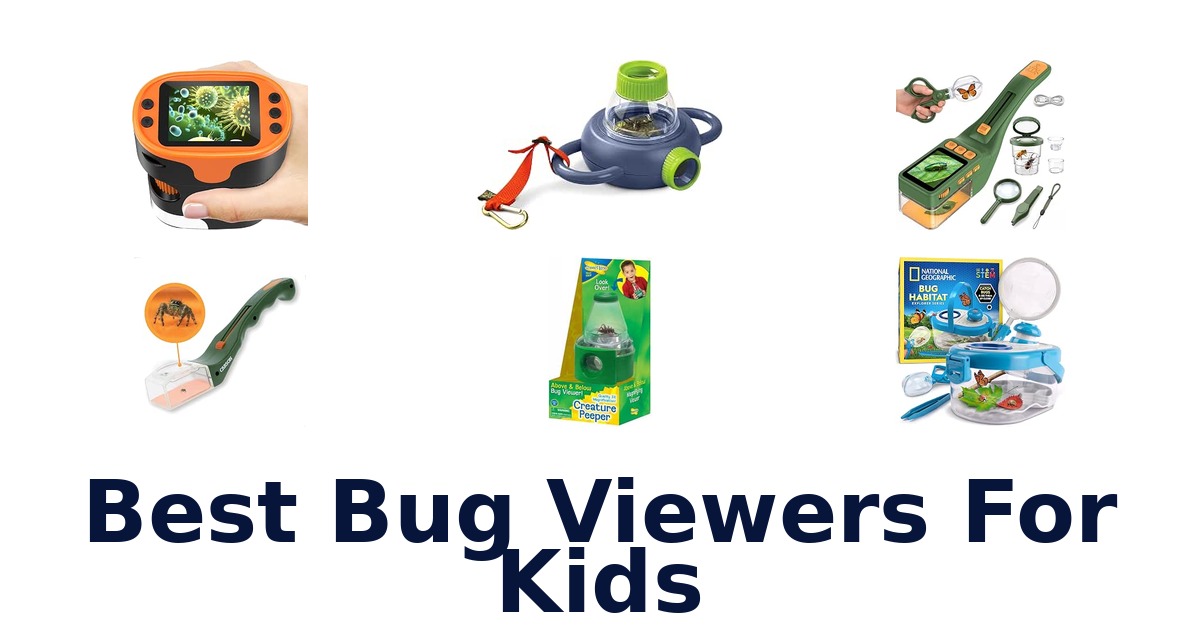 Best Bug Viewers For Kids