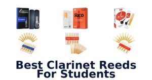 Best Clarinet Reeds For Students