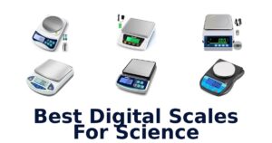 Best Digital Scales For Science