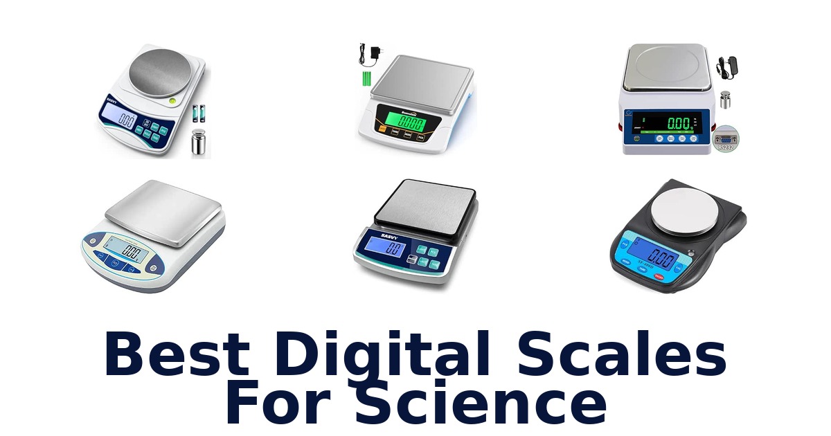 Best Digital Scales For Science
