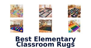 Best Elementary Classroom Rugs