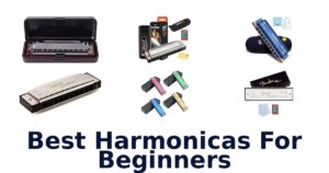 Best Harmonicas For Beginners