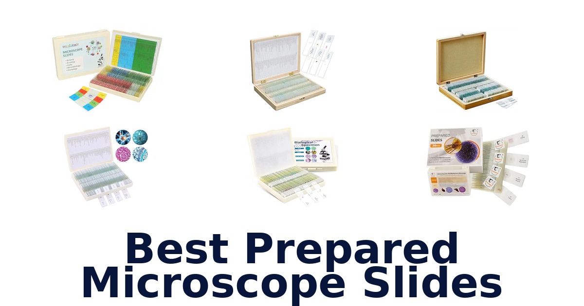 Best Prepared Microscope Slides