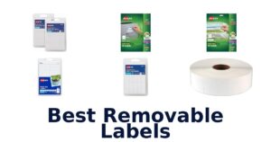 Best Removable Labels