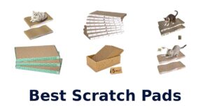 Best Scratch Pads