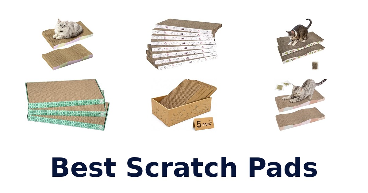 Best Scratch Pads