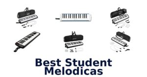 Best Student Melodicas